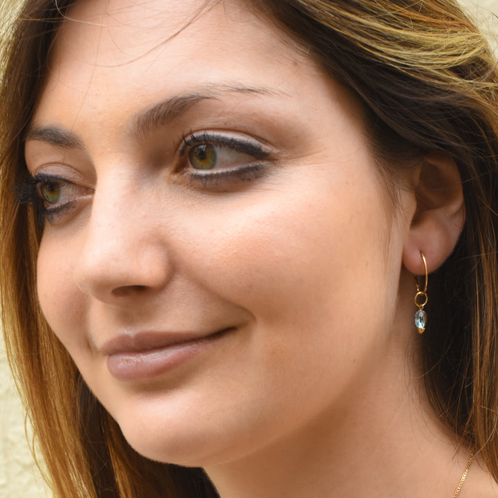 faceted birthstone coin charm - lever back earrings - valentshop.com