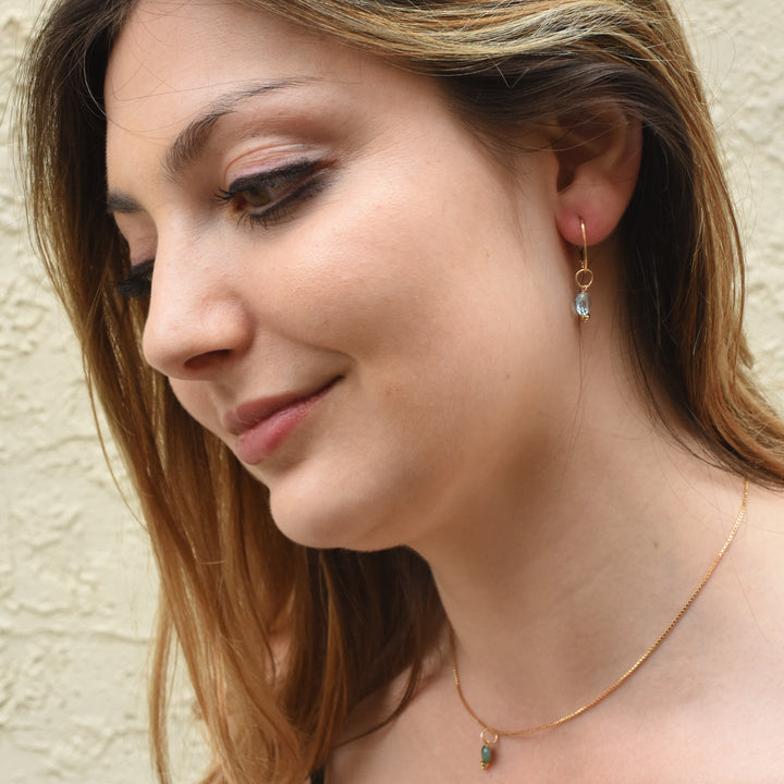 faceted birthstone coin charm - lever back earrings - valentshop.com