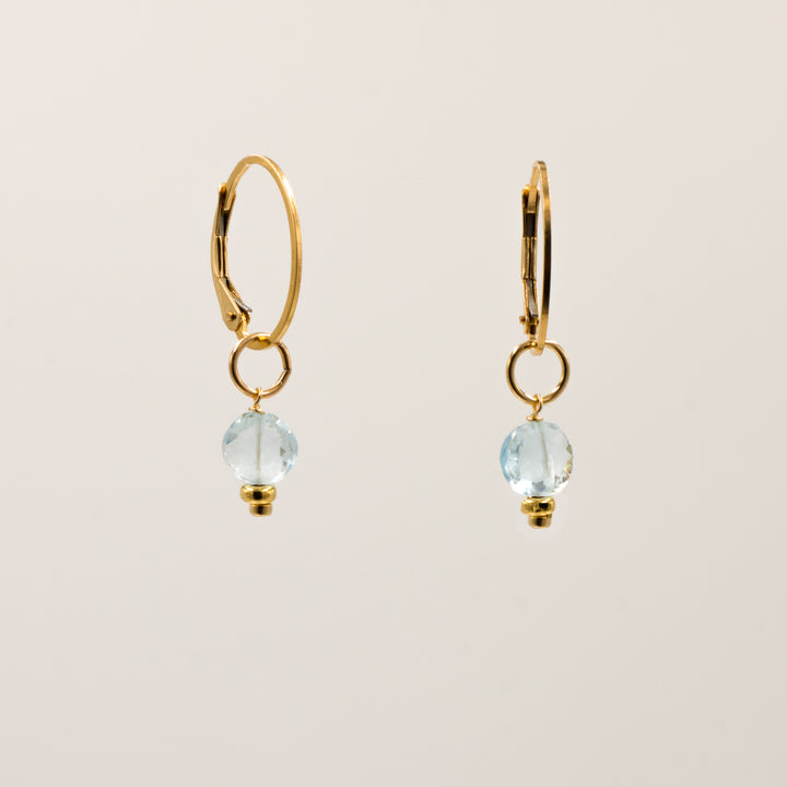 faceted birthstone coin charm - lever back earrings - valentshop.com