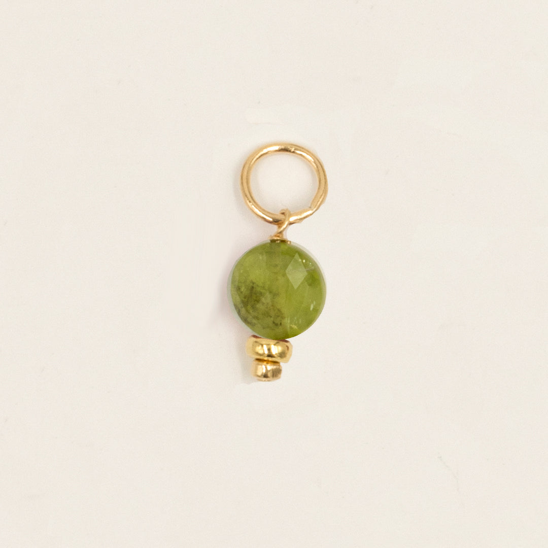 faceted birthstone coin charm - shepherd's hook earrings - valentshop.com