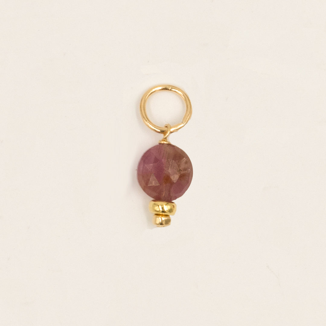 faceted birthstone coin charm - shepherd's hook earrings - valentshop.com