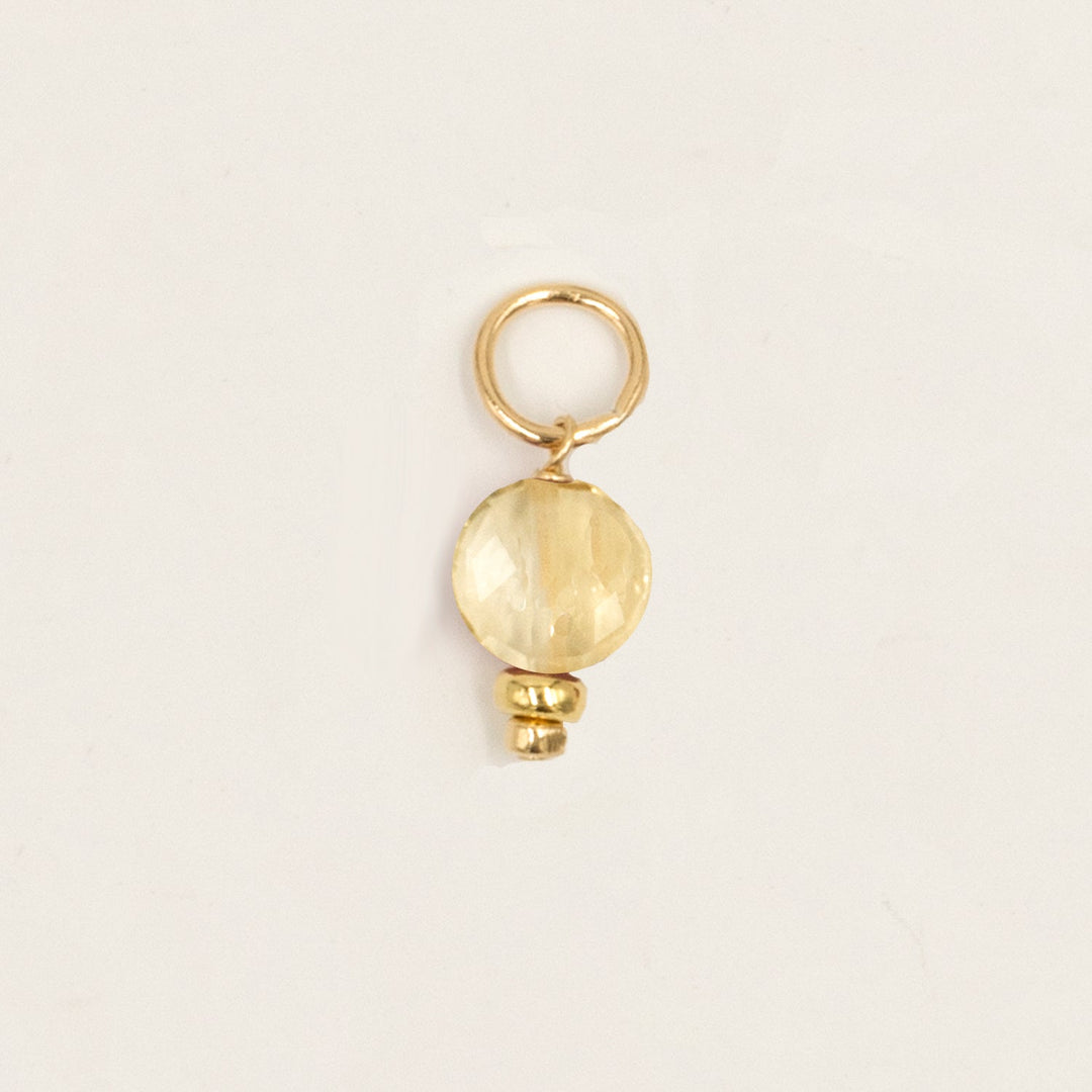 faceted birthstone coin charm - hoop earrings - valentshop.com