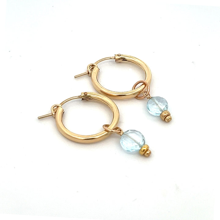 faceted birthstone coin charm - hoop earrings - valentshop.com